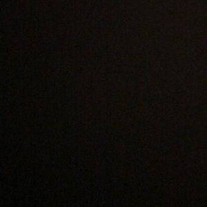 Meet your Posher, Gracie